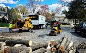 Why Choose Our Tree Removal Services in Howard, WI?